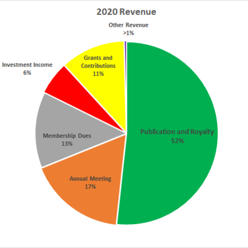 A chart demonstrating revenue for the 2020 fiscal year