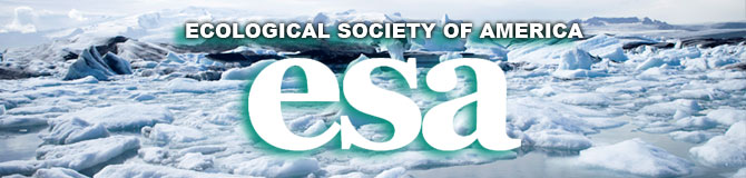 Bats emerge from Congress bridge in Austin, TX