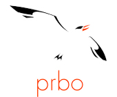 PRBO.org