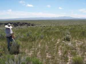 Robert Arkle collected data at Clover Creek in 2009, near perimeter of a fire that burned on Idaho’s Owyhee High Plateau in 1994. Credit (co-author) David Pilliod.