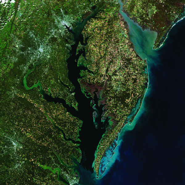 A true color composite image of Chesapeake Bay, created from Provisional Surface Reflectance data collected by the USGS satellite Landsat 8 in the fall of 2014. Sediment appears light blue or green, suspended in the water along the coast and in the rivers of the Chesapeake watershed. Baltimore, Md., and Washington, D.C., and the I95 corridor are bright grey stars to the left of the Bay. Credit, US Geological Survey.