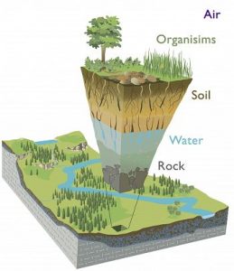 Modified from Chorover, J., R. Kretzschmar, F. Garcia-Pichel, and D. L. Sparks. (2007). Soil biogeochemical processes in the critical zone. Elements 3, 321-326. (artwork by R. Kindlimann).