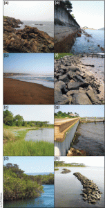 Natural and artificially hardened shorelines found in the US: (a) rocky shore; (b) beach; (c) tidal marsh; (d) mangrove; (e) seawall; (f) riprap revetment; (g) bulkhead; and (h) breakwater, from Figure 1 of Gittman et al. 2015 Frontiers in Ecology and the Environment 13: 301–307. For images of other shoreline types found in the US, refer to the NOAA ESI shoreline types image gallery (http://response.restoration.noaa.gov/esi-shoreline-types).