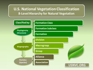USNVC 8 level hierarchy