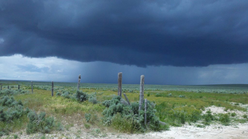 An early summer storm passes over sagebrush country near Hollister, Idaho. The area has not burned within the 20 year time frame of the study. It features mature sagebrush, but also non-native cheatgrass, mustard, and crested wheatgrass, and barbed-wire fencing, which provides perches for predatory birds. Non-native plants and human infrastructure diminish the quality of the habitat for sage grouse. Credit, Robert Arkle, June 2011.
