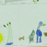 An elementary school student imagines a food chain. <i>Chris Buddle</i>.