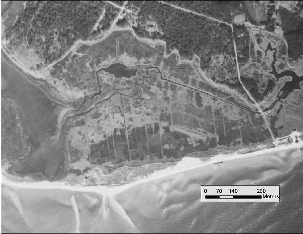 Aerial photograph of a salt marsh die-off site in 1939