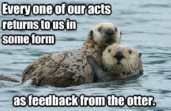 Every one of our acts returns to us in some form as feedback from the otter.