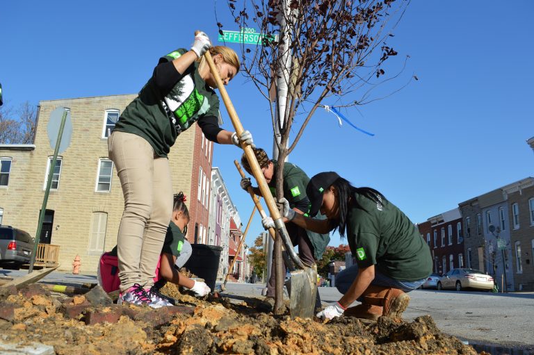 Parks & People volunteers plant trees on a street in Baltimore. Credit, Parks & People Foundation.