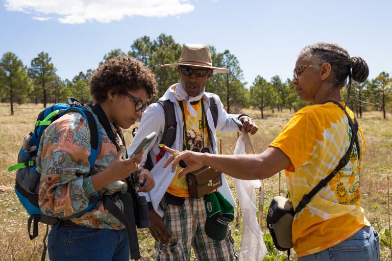 Gillian Bowser samples pollinators with students in the 3dNaturalists program during the National Park Service’s Centennial Bioblitz in Bandelier National Park, in 2016. Students worked in “pollinator hotshot teams” to identify pollinators and upload photos and information to an online database using a citizen science app called iNaturalist. Credit: Carrie Lederer