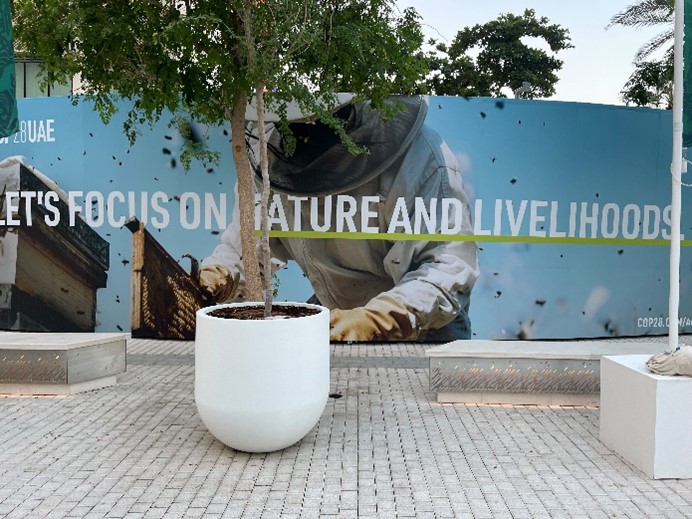 A potted tree sits in front of a mural with the words Nature and Livelihood. 