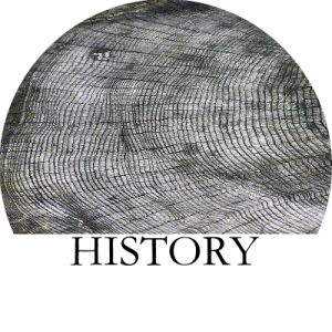 History B Circle