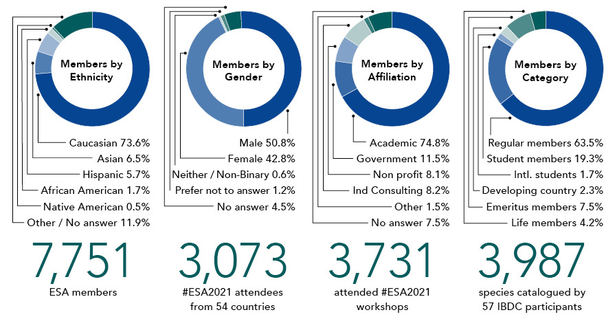 Infographic showing membership based on ethnicity, gender, member type and affiliation.
