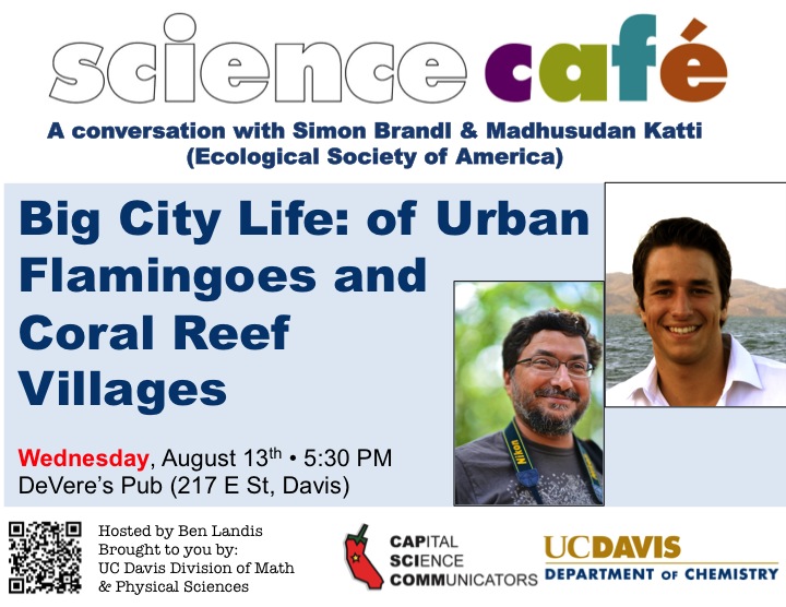 Davis Science Cafe Flier for August 13, 2014, featuring Simon Brandle and Madhusudan Katti