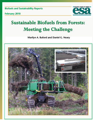 Biofuels and Sustainability Report: Sustainable Biofuels from Forests