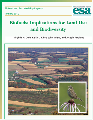 Biofuels and Sustainability Report: Implications for Land Use and Biodiversity