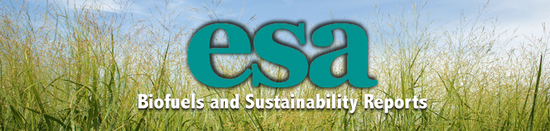 Biofuels and Sustainability Reports