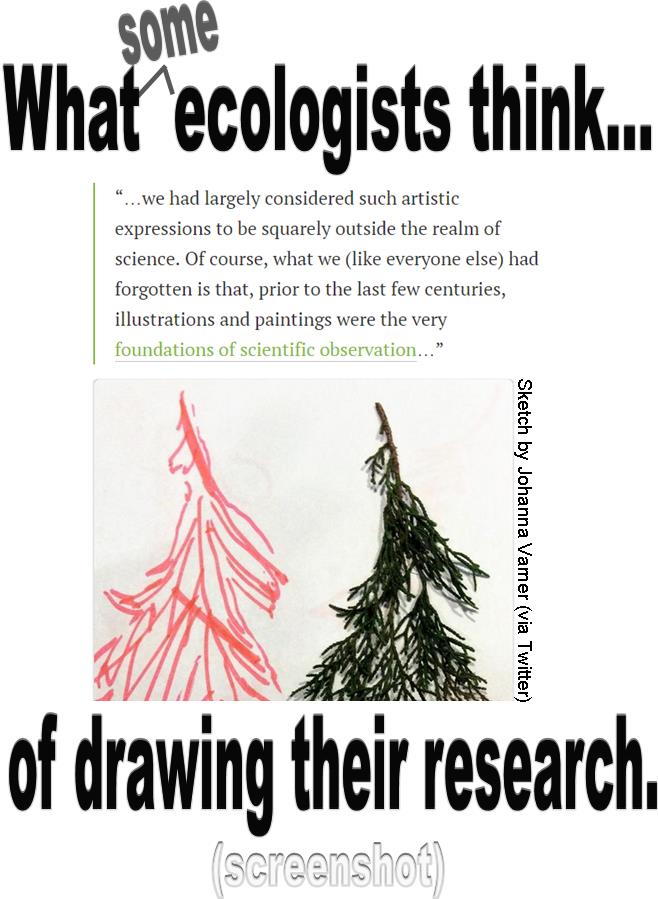 What ecologists think of drawing (09.2014)