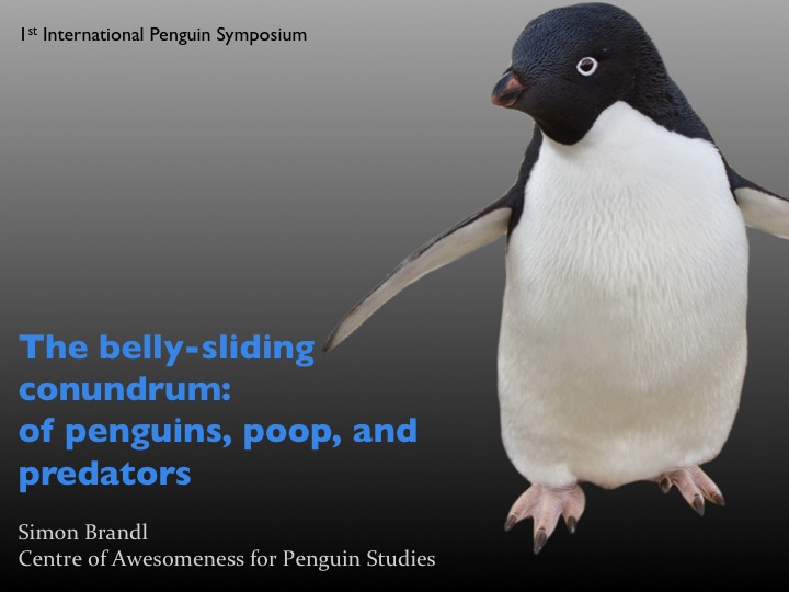 Using Adobe Photoshop's ‘magnetic lasso’ tool, this penguin was cut from a photograph. Tip: export your image as a .png file with transparent background, then insert into your slide to achieve this affect.