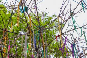 Photo of dozens of Mardi Gras necklaces strung on a tree