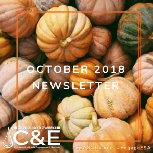 Image: lots of pumpkins. Text: October 2018 Newsletter