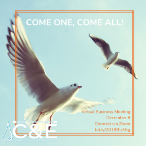Image: two gulls flying overhead. Text: COME ONE, COME ALL! Virtual Business Meeting December 6 Connect via Zoom bit.ly/2018BizMtg