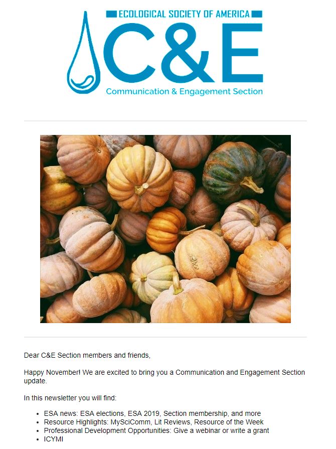 screenshot of newsletter - logo, photo of pumpkins. Follow link for text.