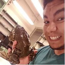The author of the blog, Bryan Juarez, holding a very large frog