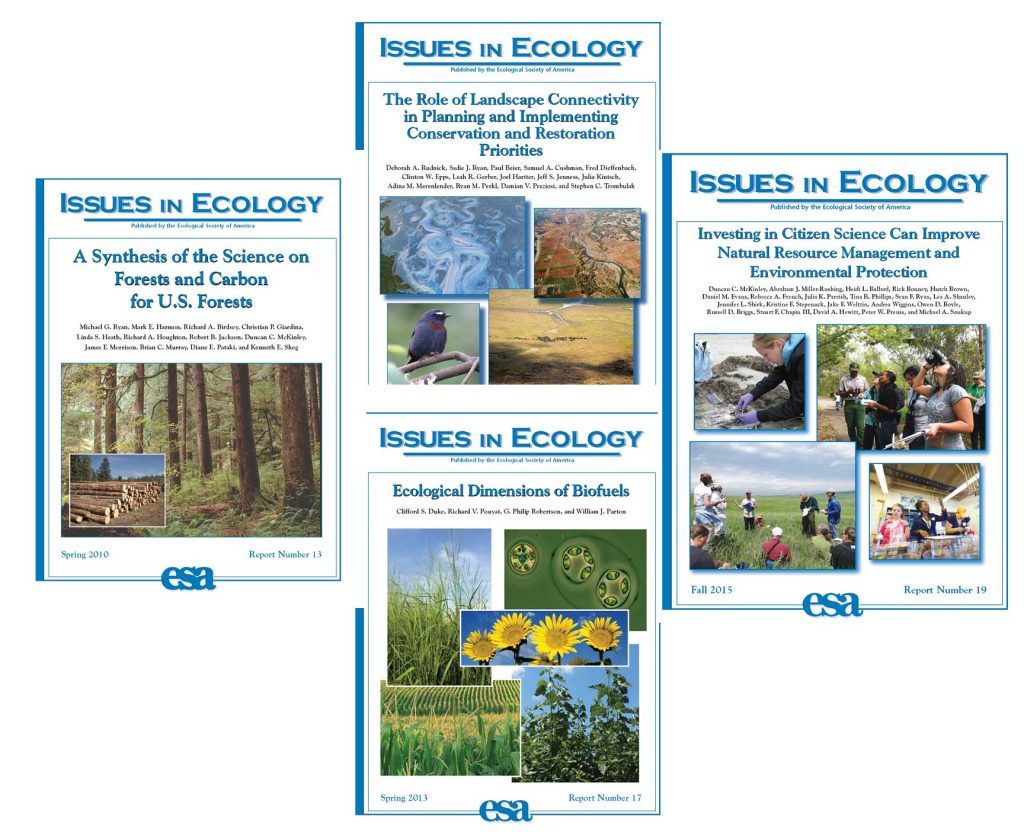 ecology for a research paper
