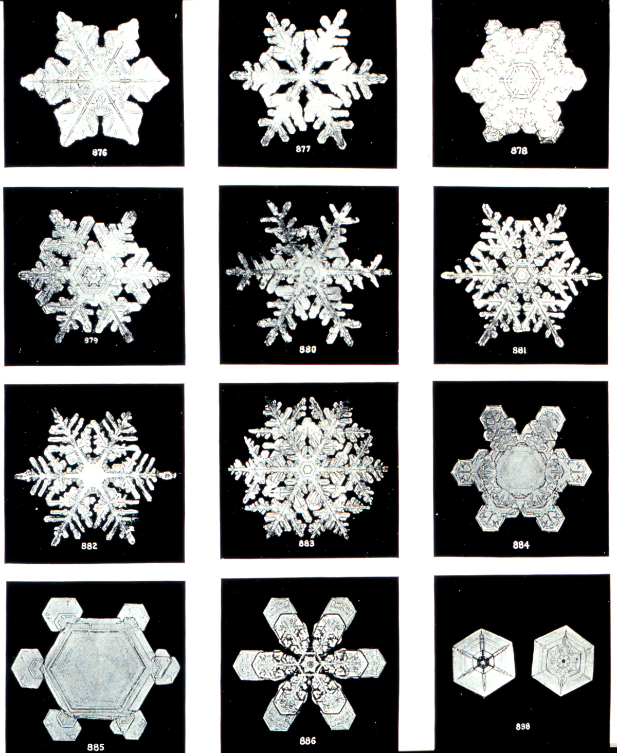 Why do snowflakes look like that? And other mysteries of nature's patterns