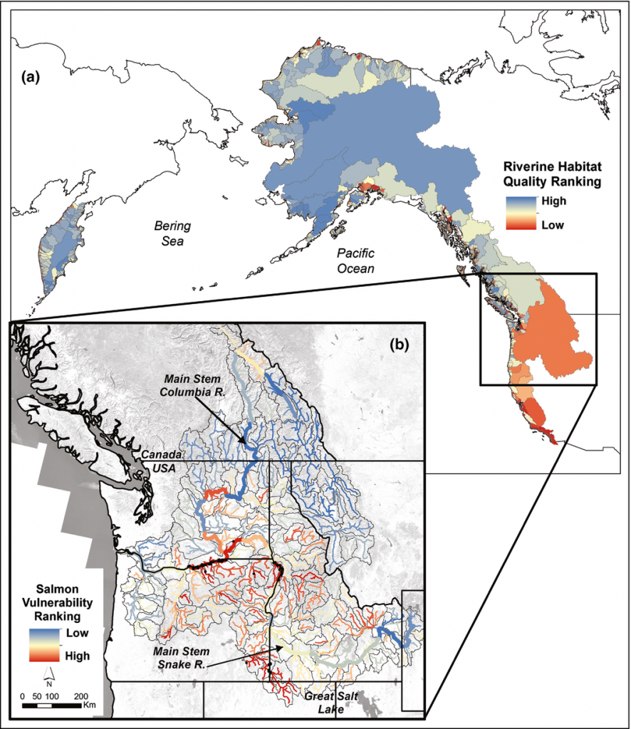 An overall ranking of North Pacific Rim watersheds based on their physical freshwater habitat complexity and relative human impact, by Whited et al. (2012) 10.1080/03632415.2012.696009. Reprinted by permission of the American Fisheries Society in a special issue article by Hand et al. (2018) A social–ecological perspective for riverscape management in the Columbia River Basin 10.1002/fee.1752.