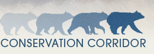 conservation corridor logo