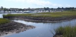 Die-off Along mosquito ditches, Cape Cod salt marsh