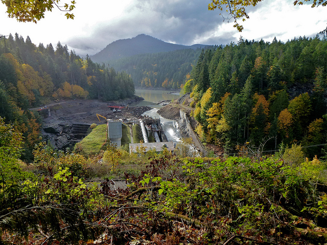The Elwha River pours through the remains of the Elwha Dam in Washington State’s Olympic National Park on October 23, 2011. The former reservoir beds have recovered quickly and salmon and steelhead have returned after demolition of the two dams on the river. Credit Kate Benkert, USFWS.