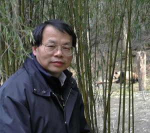 Jianguo ‘Jack’ Liu visits Wolong Nature Reserve for giant pandas (Sichuan Province, China) in 2013. Dr. Liu is the Rachel Carson Chair in Sustainability and director of the Michigan State University Center for Systems Integration and Sustainability. He and his collaborators have been working on pandas and people for more than two decades and have contributed to the panda recovery that led to its recent removal from the endangered species list. Credit: Sue Nichols