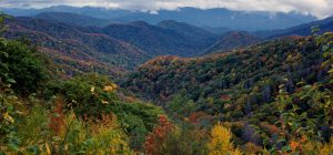 Picture of Great Smokey Mountains National Park in fall.