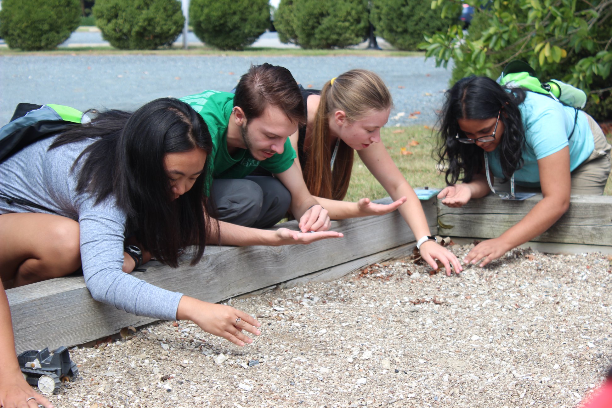 A group of students sift over terrain to gather information for further study.