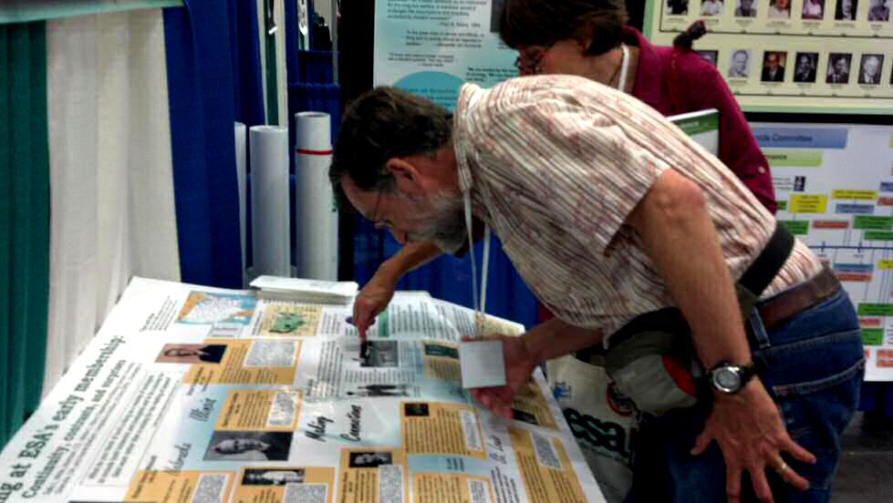 An annual meeting attendee examines a physical timeline of ESA at the Annual Meeting.