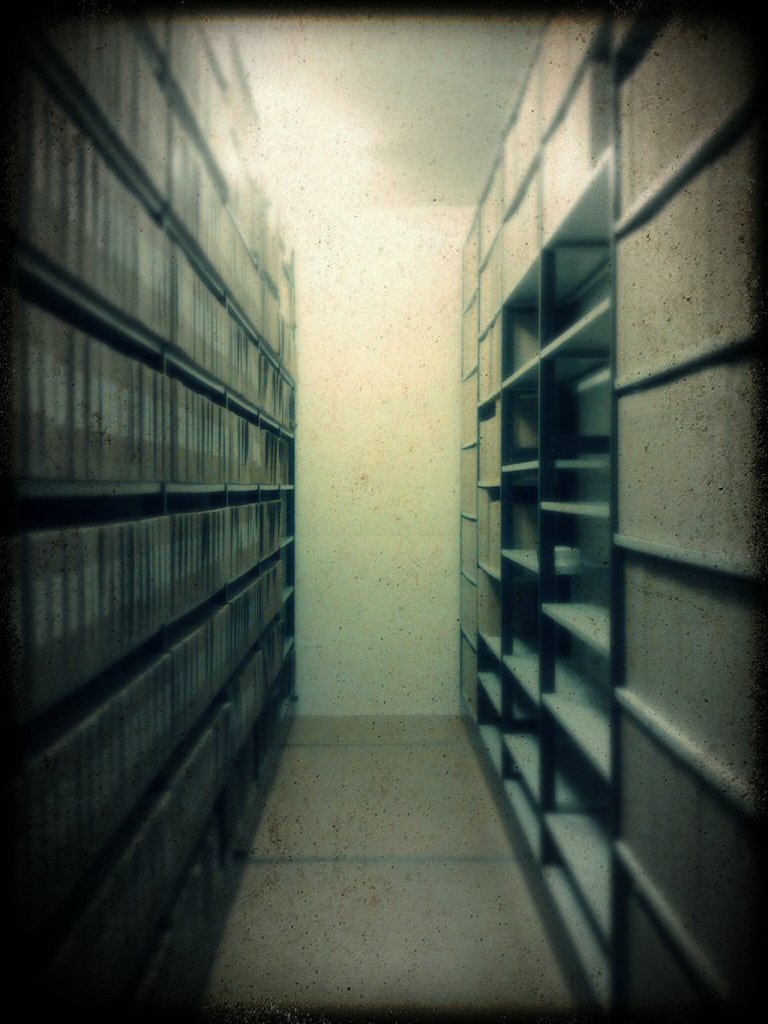 Lost in the archives by netzanette