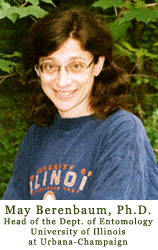 Portrait of Dr. May Berenbaum in a University of Illinois t-shirt.