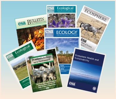 Spread of published journal covers.
