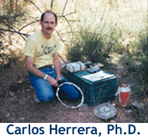 Early profile picture of Carlos Herrer kneeling before his field kit including net.