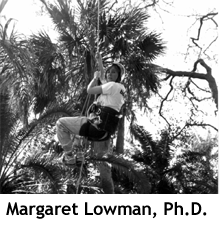 Dr. Margaret Lowman