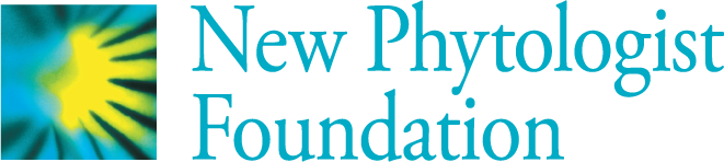 Official logo of the New Phytologist Foundation.