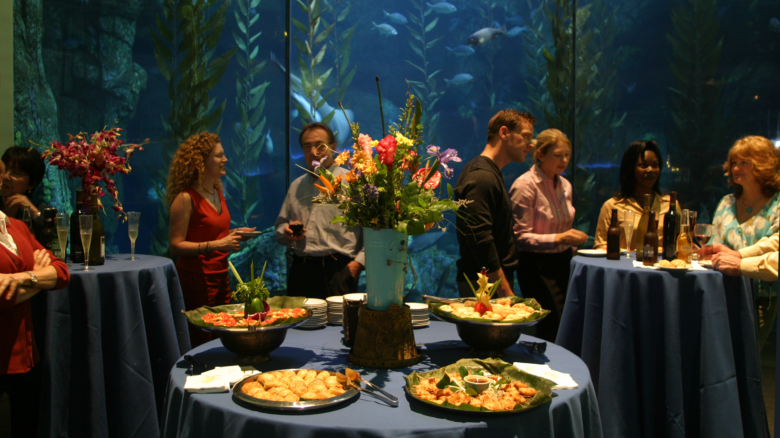 Credit-Long-Beach-Convention-Visitors-Bureau-AquariumofthePacificEvent