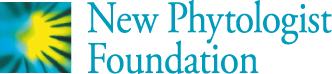 Official logo of New Phytologist Foundation.
