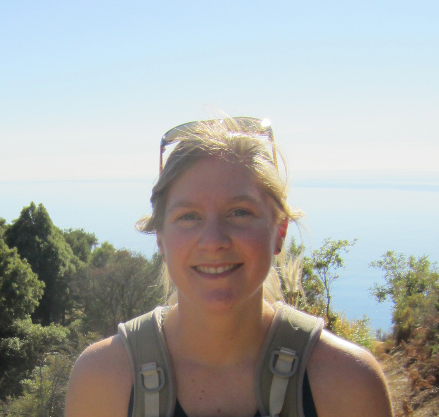 Ppe dissertation topics picture