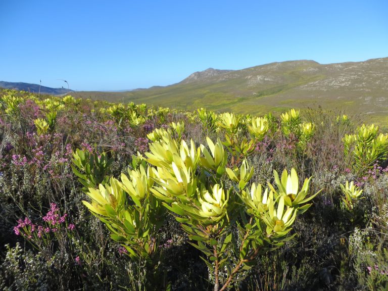 Ppe 313 upenn picture