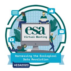Official logo of the 2020 ESA Annual Meeting shows a cityscape in the foreground with mountains in the background and it is raining 1's and 0's (binary) digits.