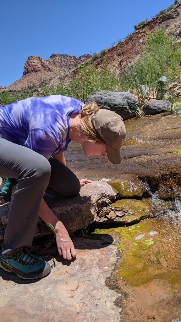 Hannah investigating a cyanobacteria mat